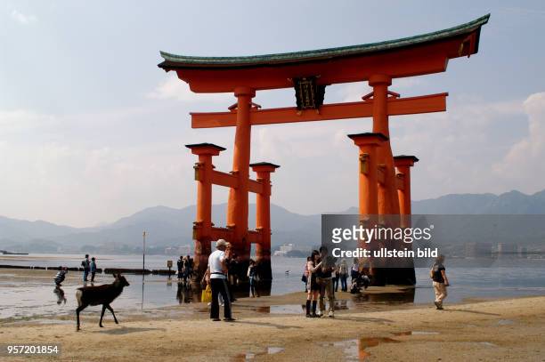 Japan / Insel Miyajima / Eines der meist fotografiertesten Objekte in Japan ist wohl das berühmte große Torji vor dem Isukushima-Schrein auf der...
