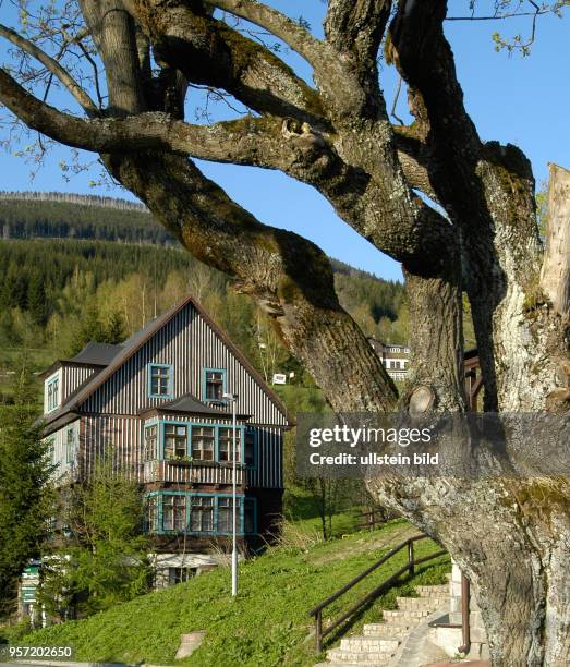 Blick am auf ein typisches altes Holzhaus im beliebten Erholungsort Spindleruv Mlyn an der Elbe im tschechischen Riesengebirge. Das Riesengebirge in...