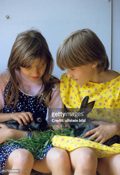 Zwei Mädchen mit Kaninchen in der Station Junger Techniker und Naturforscher in Flöha, aufgenommen im Juni 1986. Die "Stationen" waren...