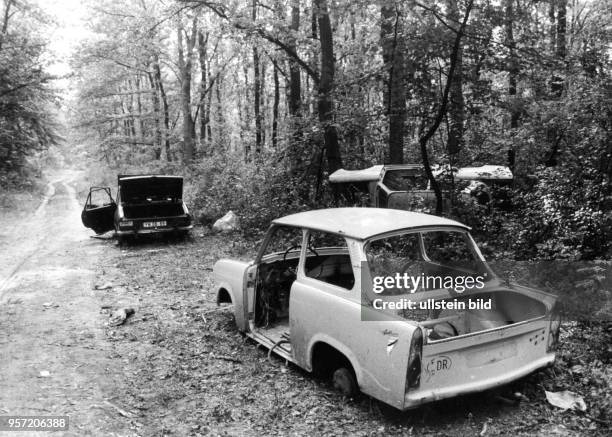 Aufgebrochene und geplünderte Pkw aus der DDR in einem Wald an der Grünen Grenze Ungarns zu Österreich im Sommer 1989. Tausende Flüchtlinge aus der...