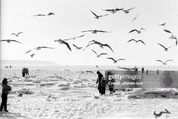 Rostock-Warnemuende / "Polareis" an der Ostseekueste in Warnemuende/ Februar 1982 / Ein ungewoehnliches Winter-Landschaftsbild bot sich den Urlaubern...