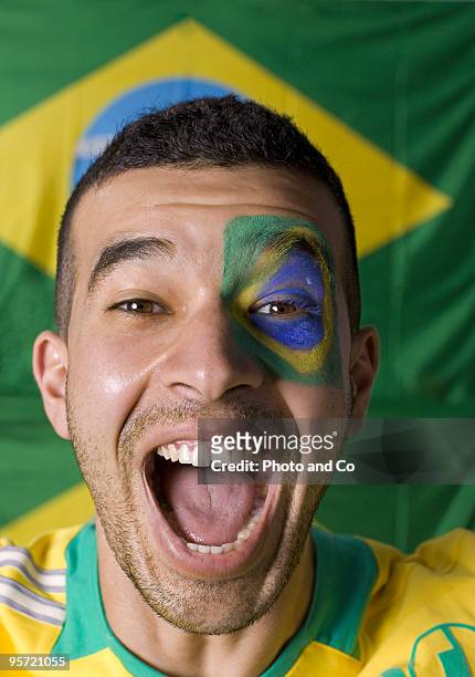brazilian football fan - co supported stock pictures, royalty-free photos & images