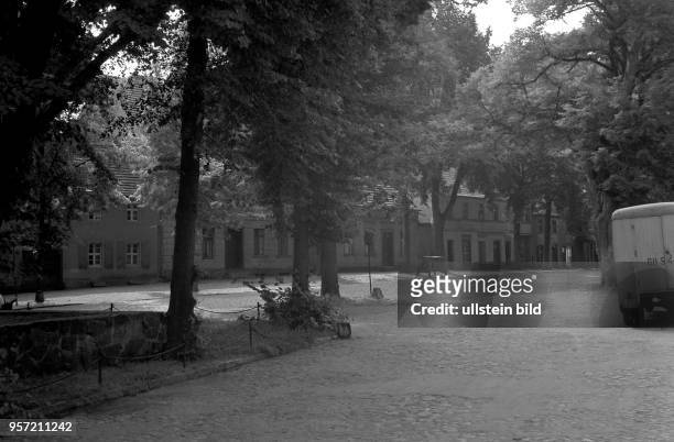Linden stehen im Berliner Umland am Straßenrand in Teupitz, aufgenommen 1956. Ein typisches Bild für die dörflichen Lindenstraßen oder -alleen.