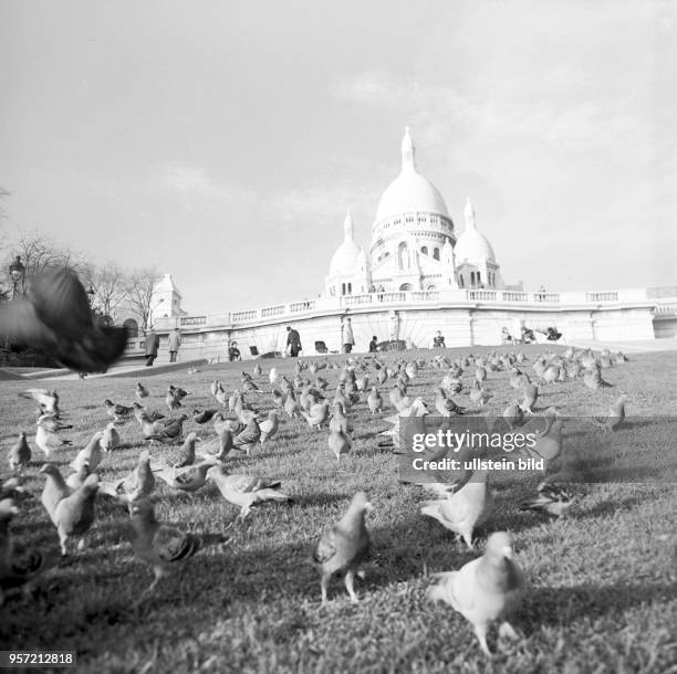 Ein Schwarm Tauben auf einer Wiese vor der Basilika Sacre Coeur de Montmartre, aufgenommen im November 1970 in Paris. Die Basilika steht auf dem...