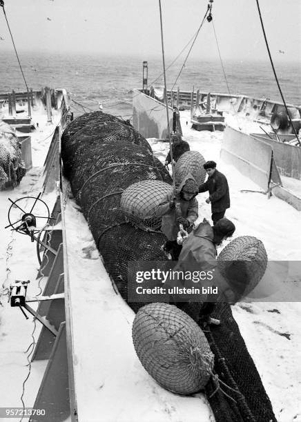 Rostock / Fischfang / Hochseefischerei / Dezember 1968 / Ein voller Uebergabe-Steert vom Zubringer-Trawler liegt an Deck des Fabrik-Mutterschiffes...