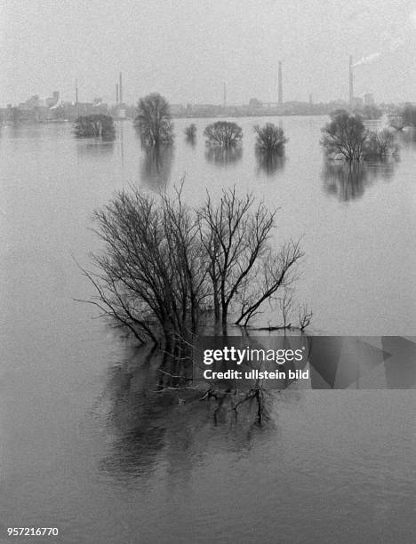 Hochwasser im Frühjahr 1988, hier der Blick über das Elbhochwasser im Kreis Osterburg, eines der am schwersten betroffenen Gebiete der DDR. Die...