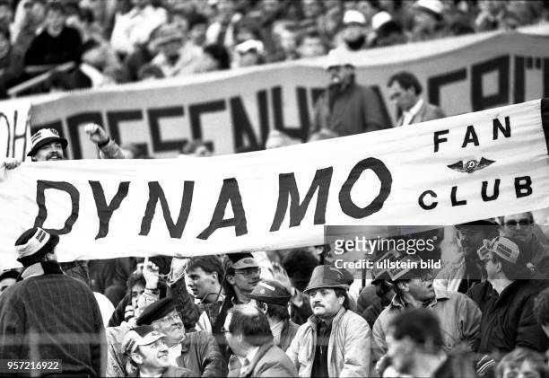Mitgereiste Dresdner Dynamo-Fans geben ihrem Team am auf den Rängen des Stuttgarter Neckarstadions moralische Unterstützung. DDR-Fußball-Oberligist...