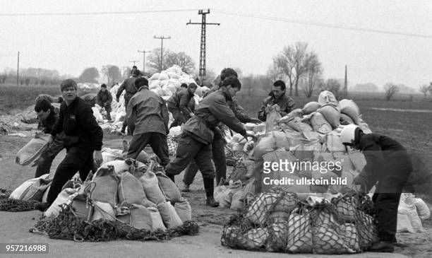 Hochwasser im Frühjahr 1988. Einsatzkräfte der Nationalen Volksarmee und Helfer verstärken den Deich im Kreis Osterburg mit Sandsäcken, hier beim...