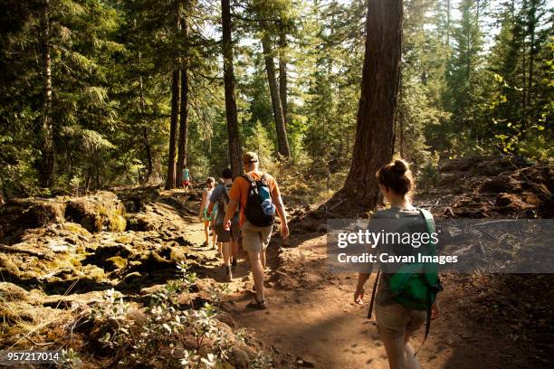 friends walking on pathway amidst trees in forest - discovery bags walking stock pictures, royalty-free photos & images