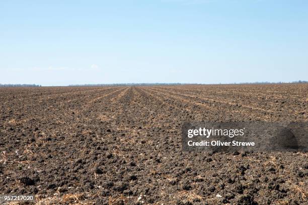 ploughed fields - campo arato foto e immagini stock