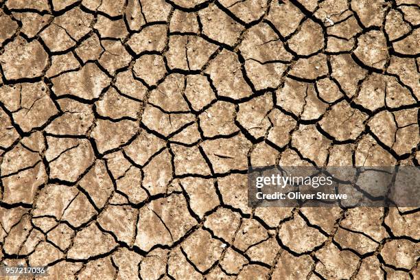 dried & cracked dirt - drought stock-fotos und bilder