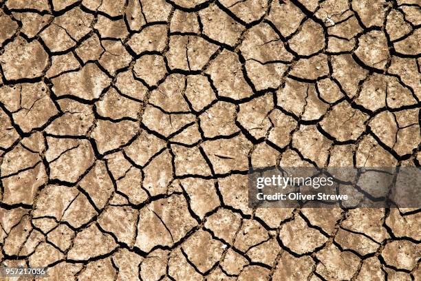 dried & cracked dirt - dry stock pictures, royalty-free photos & images