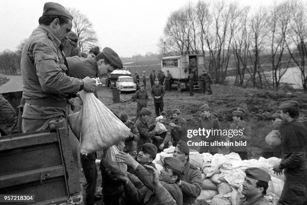 Hochwasser im Frühjahr 1988. Einsatzkräfte der Nationalen Volksarmee verstärken den Deich im Kreis Osterburg mit Sandsäcken, hier beim Abladen der...