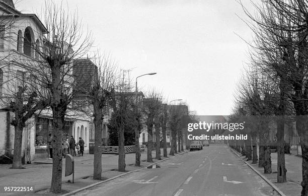 Kahle Bäume entlang einer Straße in Binz auf der Insel Rügen, aufgenommen im Winter 1986. Passanten betrachten derweil die weihnachtlich geschmückte...