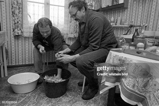 Schlachtfest Ende November 1986 in Oberhütte bei Eisleben im Mansfelder Land: Hier zwei Männer in der Küche beim Schälen von Zwiebeln. Auf die...