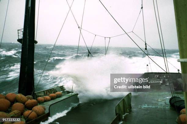 Rostock / Fischfang / Hochseefischerei / Februar 1977 / Wenn Wellen-Brecher durch die Heckoeffnung des Fabrik-Mutterschiffes "Junge Welt" schlagen,...