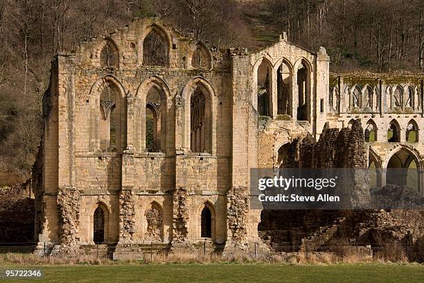 revaux abbey  - rievaulx abbey stock pictures, royalty-free photos & images