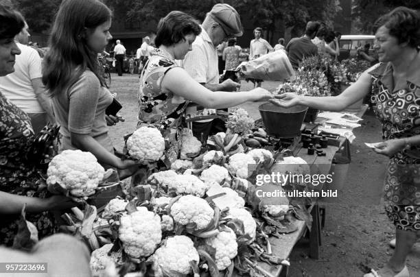 Großer Andrang herrscht an den Ständen für Gemüse und Blumen auf einem Bauernmarkt in Cottbus, aufgenommen im August 1978. An diesem Tag ist frisch...