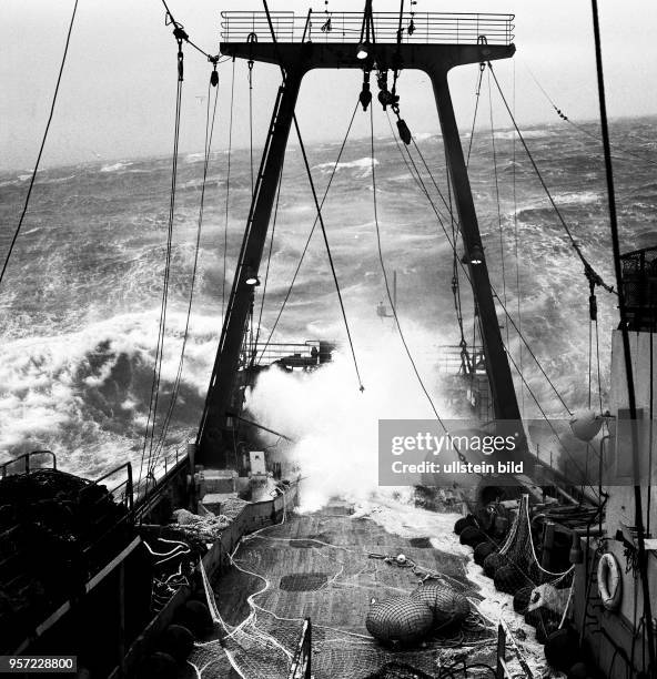 Rostock / Fischfang / Hochseefischerei / Dezember 1968/ Sturm tobt zu dieser Jahreszeit haeufig im Nordwest-Atlantik. Dann muss auch die Arbeit an...