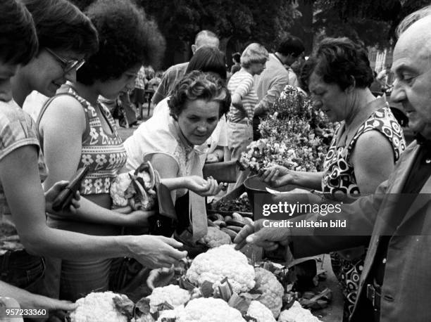 Großer Andrang herrscht an den Ständen für Gemüse und Blumen auf einem Bauernmarkt in Cottbus, aufgenommen im August 1978. An diesem Tag ist frisch...