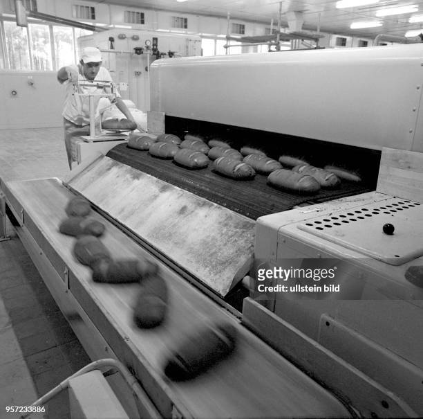 Anlagen zum Brotbacken in der Großbäckerei "Hoback" in Hoyerswerda, aufgenommen am . Seit diesem Jahr wurden in diesem Betrieb Brot, Brötchen und...