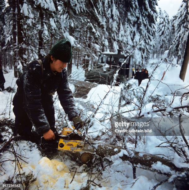 Ein Forstarbeiter arbeitet mit einer Motorsäge im Winterwald am Feldberg im Thüringer Wald, undatiertes Foto von 1982. Foto. Wilfried Glienke