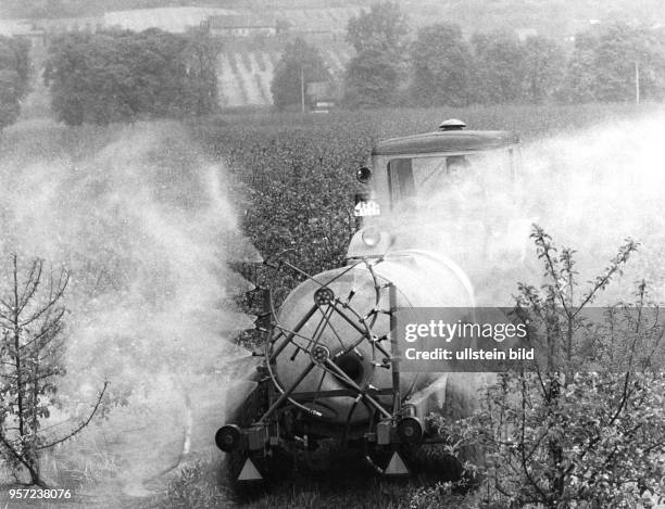 Viel Chemie wurde in der DDR zur Bekämpfung von Schädlingen in der Landwirtschaft eingesetzt, so wie hier bei der Obstproduktion in Borthen bei...