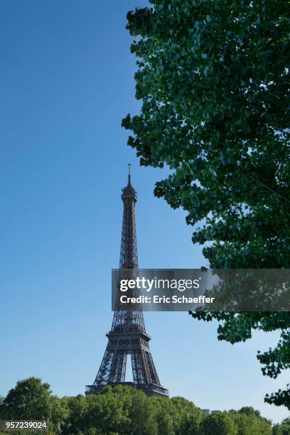 tour eiffel au printemps - eric schaeffer stock pictures, royalty-free photos & images