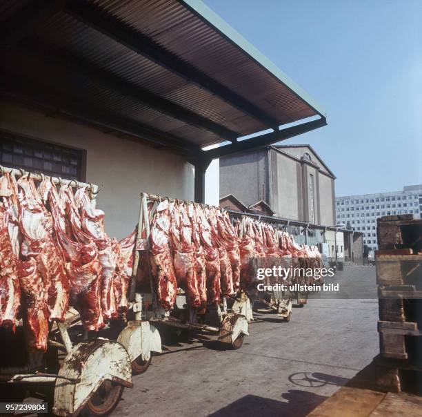 Teile geschlachteter Tiere hängen auf Gestellen im Freien auf dem Gelände des VEB Fleischkombinat Berlin an der Leninallee in Berlin , undatiertes...
