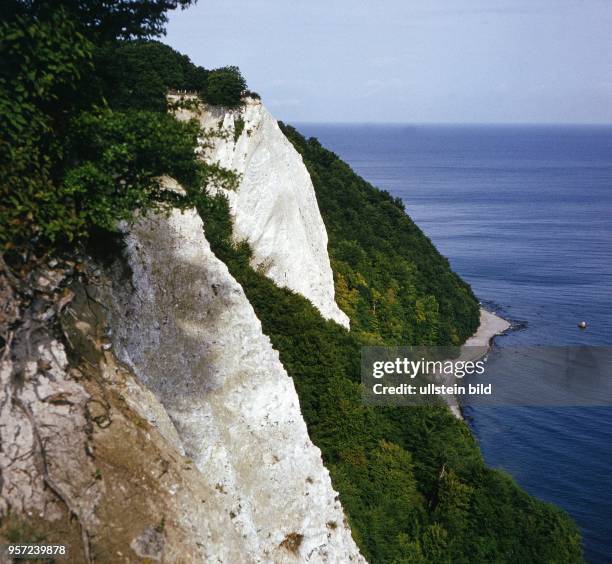 Blick auf die Kreidefelsen der Insel Rügen, aufgenommen 1983. Foto : Reinhard Kaufhold