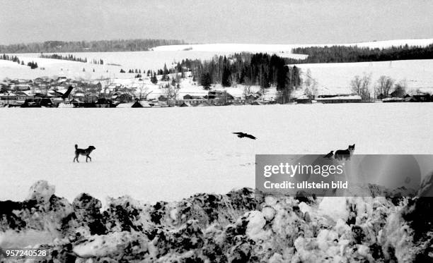 Eine verschneites Landschaft, aufgenommen 1986 in der Sowjetunion im Gebiet Perm im Ural bei der Baustelle der Erdgastrasse aus Russland nach...