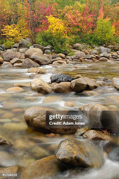 swift river in autumn - swift river stock pictures, royalty-free photos & images