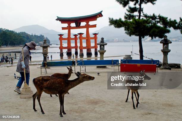 Japan / Insel Miyajima / Eines der meist fotografiertesten Objekte in Japan ist wohl das berühmte große Torji vor dem Isukushima-Schrein auf der...