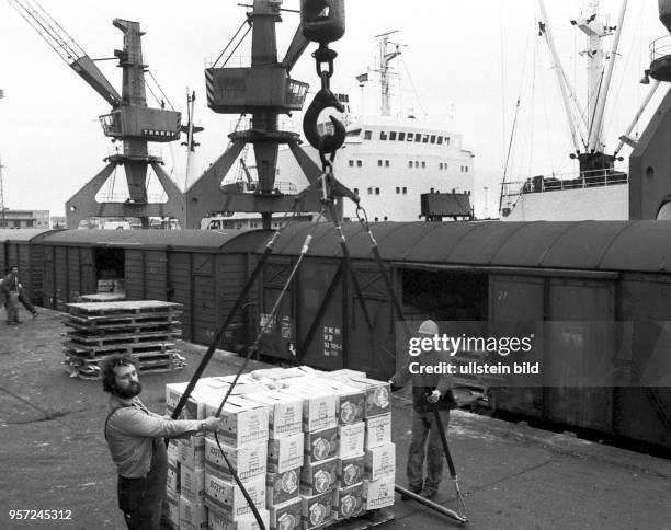 Archiv / Rostock - Überseehafen / 1980iger Jahre / Umschlag von Südfrüchten im Rostock Überseehafen / Das Kühlschiff "Gerhard Hauptmann" hat eine...