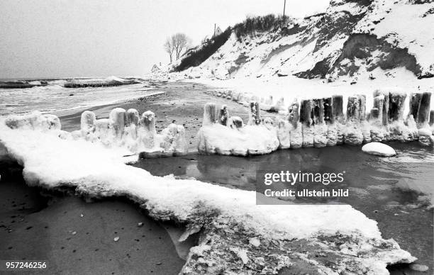 Eispanzer haben die Holzbuhnen am winterlichen Strand von Ahrenshoop an der Ostsee überzogen, aufgenommen im Januar 1985. Auch in den Wintermoaten...