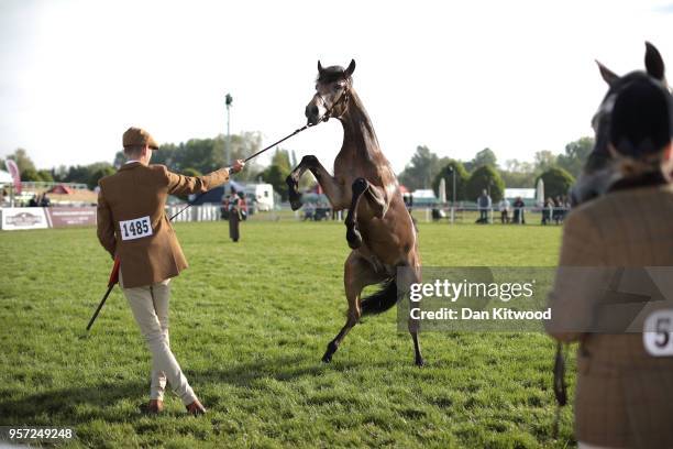 Competitor controls a horse at the third day of the Royal Windsor Horse Show on May 11, 2018 in Windsor, England. The Royal Windsor Horse Show is...