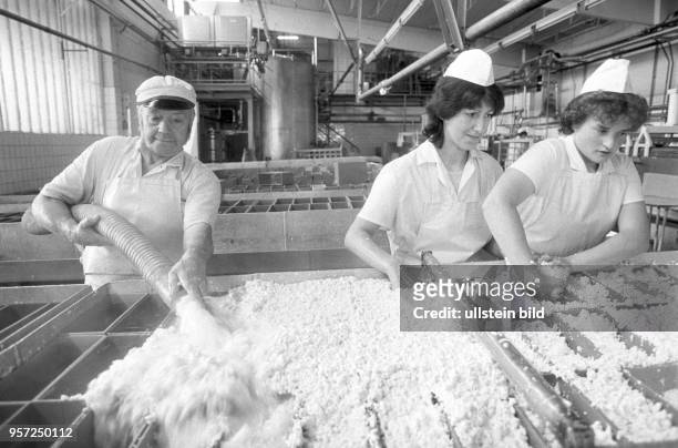 Käseproduktion in einer Fabrik im kleinen thüringischen Ort Berka/Werra, aufgenommen im Juni 1986.