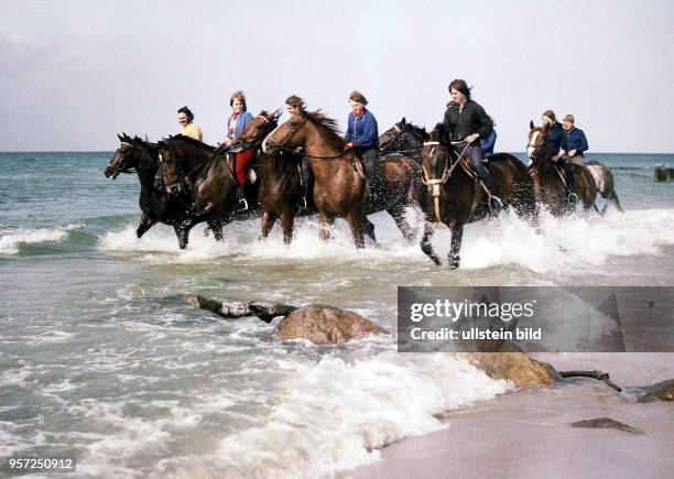 Eine der beliebtesten Freizeitbeschäftigungen ist für die Mädchen und Jungen aus Zingst das Reiten am Ostseestrand, aufgenommen 1975. Die Pferde...