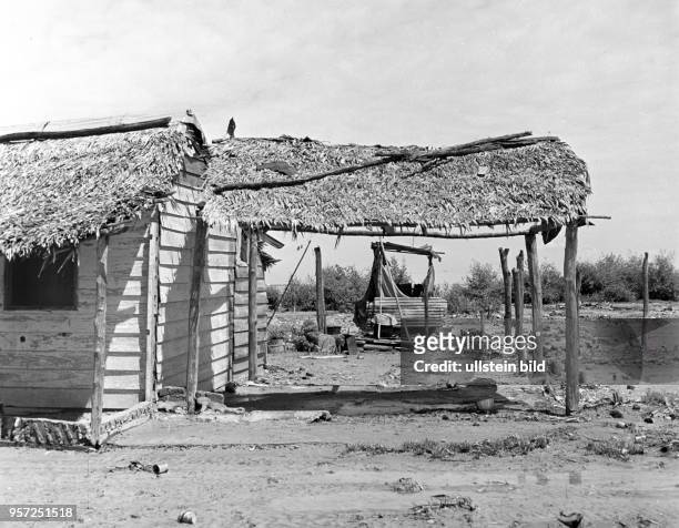 Eine verfallene Hütte, eine ehemalige Unterkunft von Landarbeitern in der Provinz Oriente , kurz vor dem Abriss, aufgenommen 1962