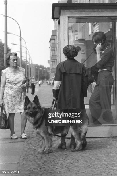 Eine blinde Frau mit Blindenhund wartet vor einer Telefonzelle, die von einer jungen Frau belegt ist, aufgenommen im September 1977 in der...