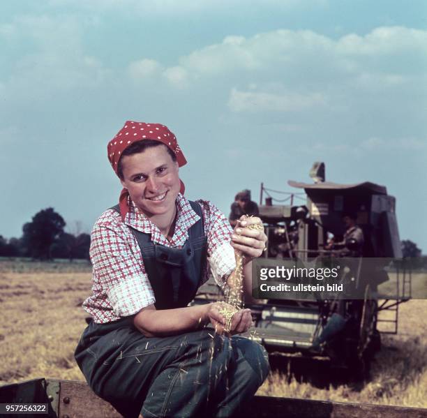 Eine junge Frau aus einer LPG bei Berlin posiert für ein Erntefoto und lässt geerntetes Korn durch ihre Hände gleiten, aufgenommen während der...