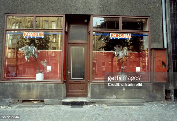 Zwei Grünpflanzen stehen in den Schaufenstern eines Konsum-Geschäftes in der Brunnenstraße in Ost-Berlin , undatiertes Foto von 1990. Mit der Wende...