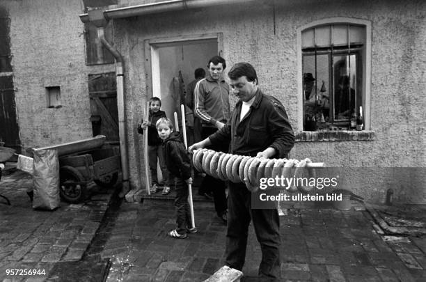 Schlachtfest Ende November 1986 in Oberhütte bei Eisleben im Mansfelder Land: Hier werden die aus dem geschlachteten Tier gefertigten Würste an einer...