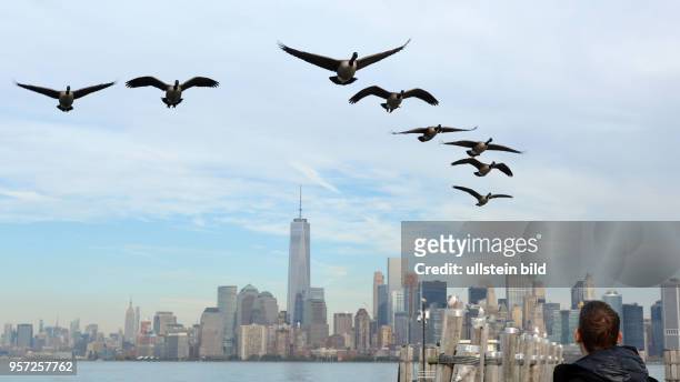 Blick von der Freiheitsinsel in New York auf den gegenüber dem Hudson River liegenden Finanz-Distrikt Manhattan mir dem One World Trade Center. Vögel...