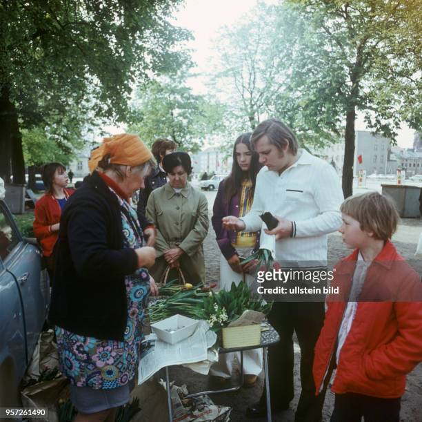 Kleinerzeuger verkaufen auf einem Markt in Schwedt Tulpen und andere Frühlingsblumenm, undatiertes Foto aus dem Frühjahr 1974.