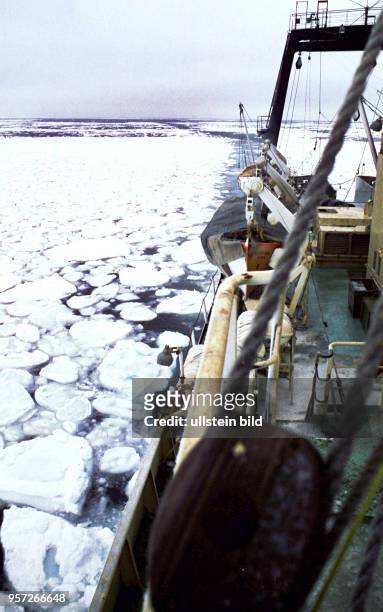 Rostock / Fischfang / Hochseefischerei / Februar 1977 / Das Fabrik-Mutterschiffes "Junge Welt" bahnt sichseinen Weg durchs Eis von Labrador um Fisch...