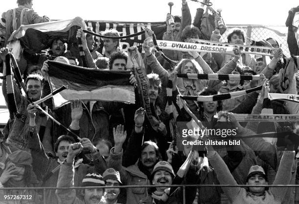 Fans des DDR-Fußball-Oberligisten Dynamo Dresden zeigen auf den Rängen des heimischen Dynamo-Stadions bei einem Spiel 1988 ihre Dynamo-Fanschals als...