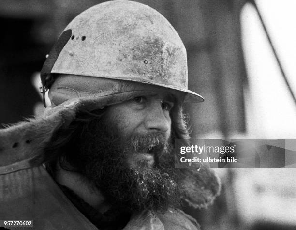 Rostock / Fischfang / Hochseefischerei / Februar 1977 / Bestmann Klaus Funk stammt aus Potsdam. Rund um die Uhr, auch Sonn-und Feiertags, wird in...