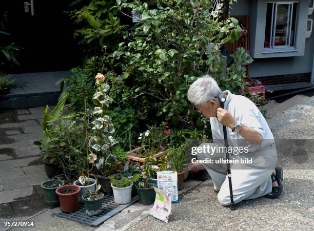 Japan / Kyoto / Etwa 1,5 Millionen Einwohner leben heute in der an Kulturschätzen reichen Stadt Kyoto. Zu den charmantesten Gebieten der Stadt zählt...