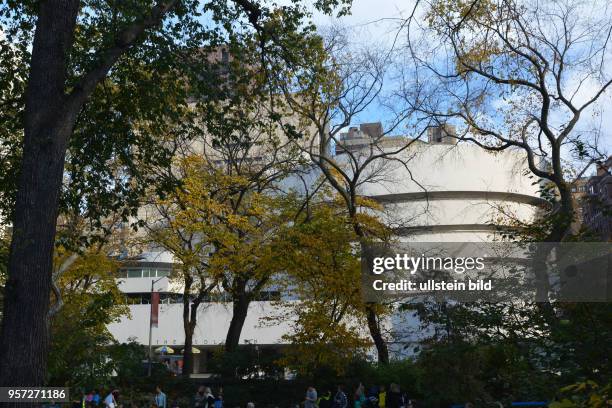 Durch Laubwerk am Rand der Fifth Avenue am Central Park schimmert das Gebäude vom Guggenheim Museum.